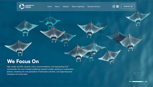 Elasmobranch Institute Indonesia