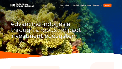 Indonesia Impact Alliance